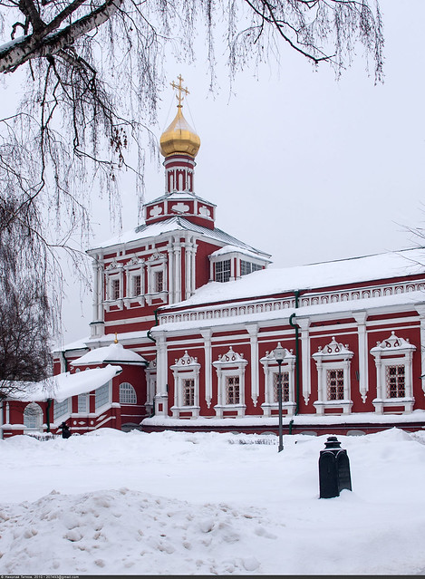 Новодевичий зимой (Novodevichy monastery in winter)