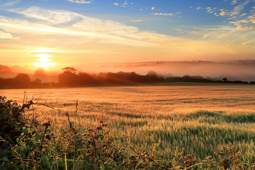 ready-for-daylight-saving-time-tips-to-improve-your-health-and-sleep