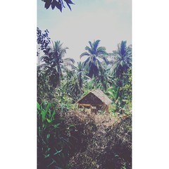 A #house. In the middle of the #jungle. A house. Two kids. A house. And the kids ask you for money. And the kids ask you for food. And the only thing you have on you are two bananas... ------------------------------------------------- Una #casa. En medio