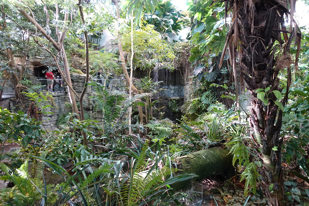 Tropical Rainforest ecosystem @ Biodôme @ Hochelaga-Maison ...

