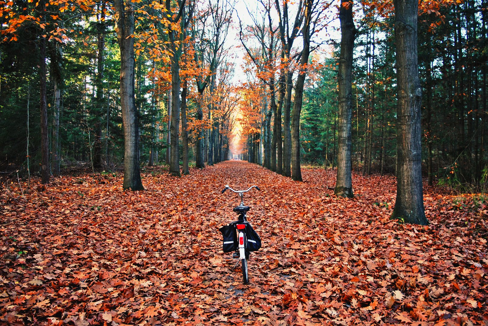 Autumn bicycle rides are the best!