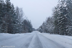 Road to Rovaniemi