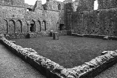 Fore Abbey_19