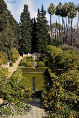 Los Jardines del Alcázar (#10)