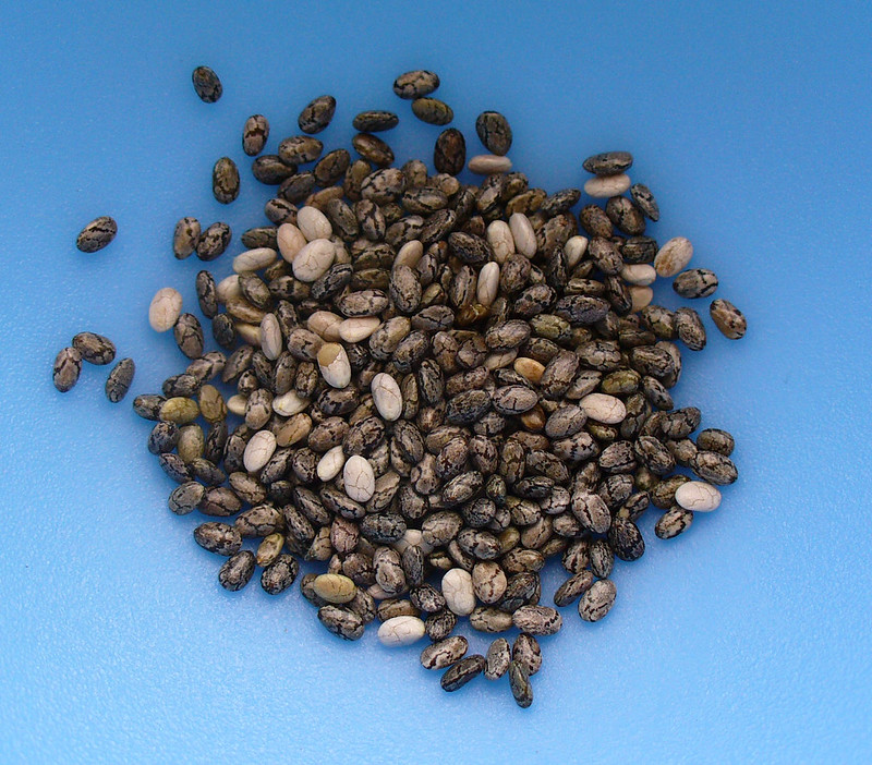 Chia seeds dry