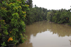 River - West Papua