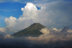 Mt Sindoro - Central Java