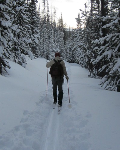 An outdoors enthusiast cross-country skiing near Cameron Pass
