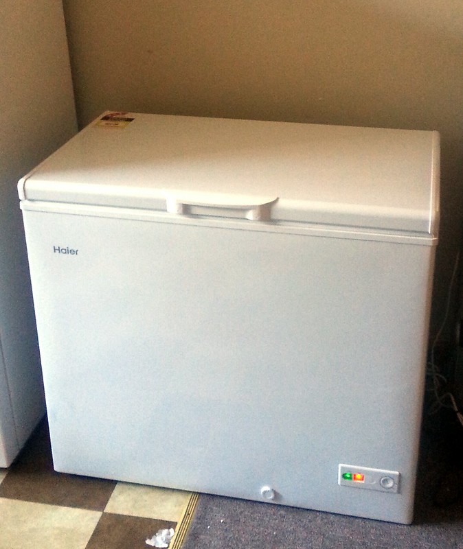 Chest freezer arrived!   Cropped and "Auto Fix" applied in Pixlr.