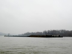Barge Traffic, Illinois River
