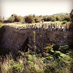 Oh #Tasmania, your convict constructions are so bloody medieval. Spiky Bridge, South of Swansea on the East Coast. #instatassie