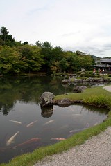Arashiyama - Tenryu-ji