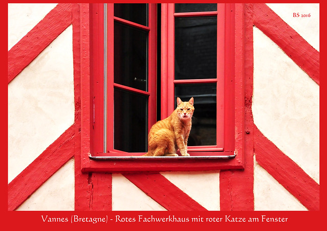 Vannes (Bretagne): Rotes Fachwerkhaus mit roter Katze am Fenster. Foto: Brigitte Stolle 2016