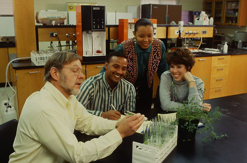 Professor Edward Jones discusses an alfalfa nutrition experiment with Delaware State University students (left to right) Tony Carney, Latisha Corey, and Karen Meyer. (USDA photo by Scott Bauer)
