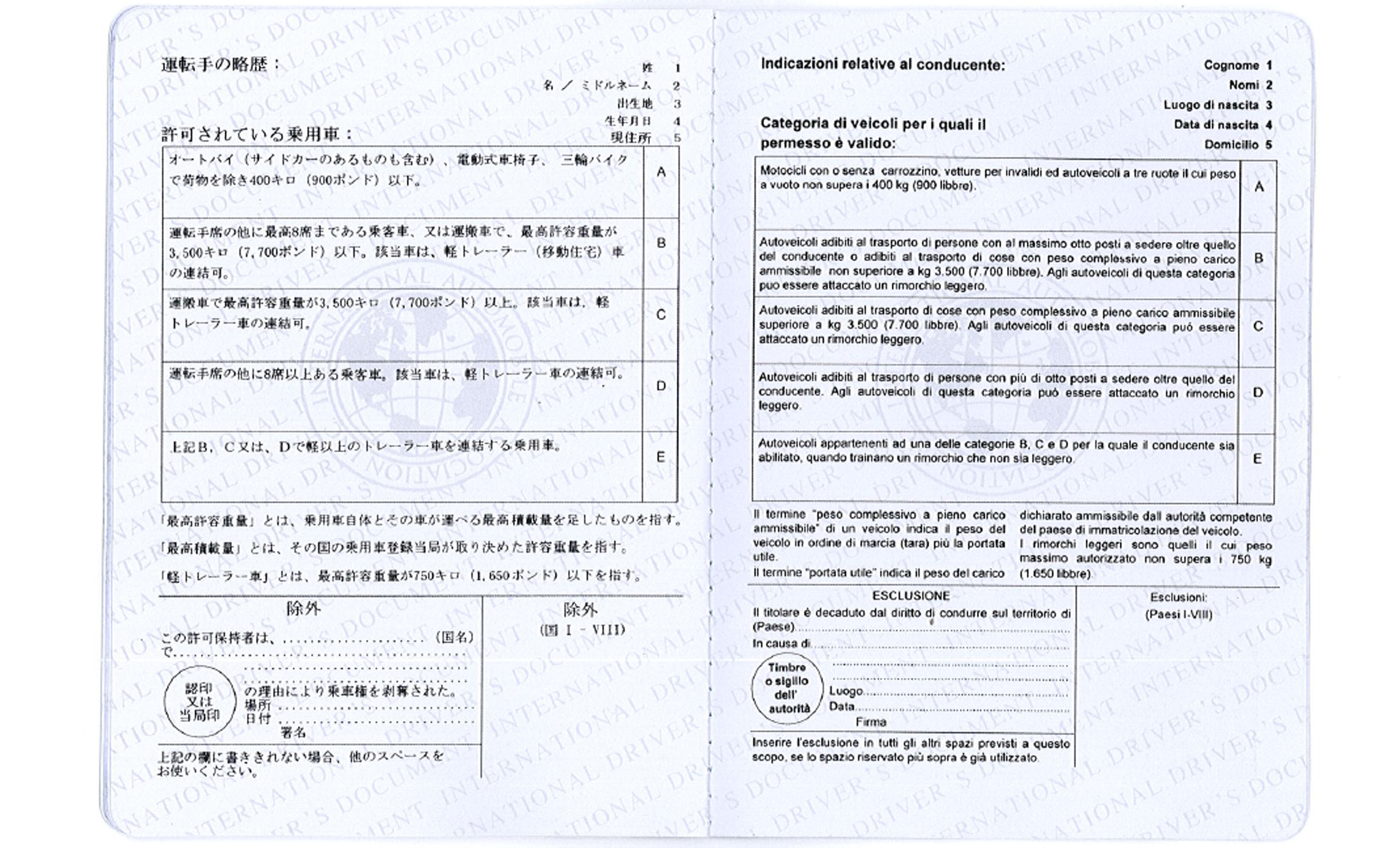 international drivers license template