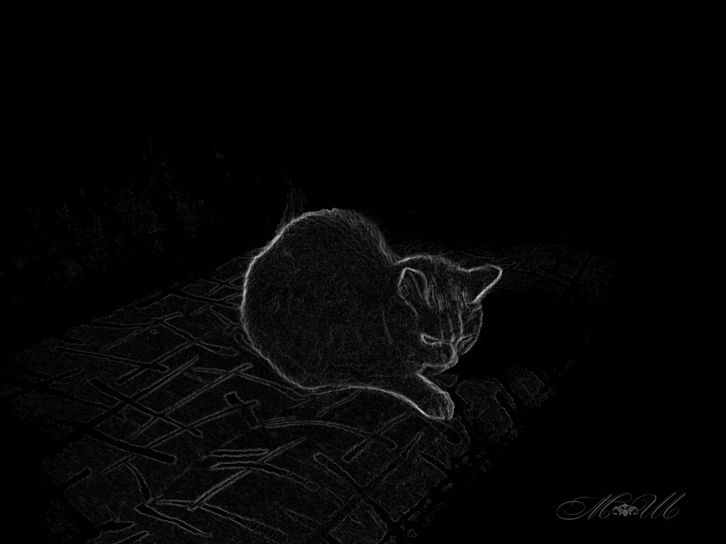 looking for a black cat in a dark room | best on black "It's… | Flickr