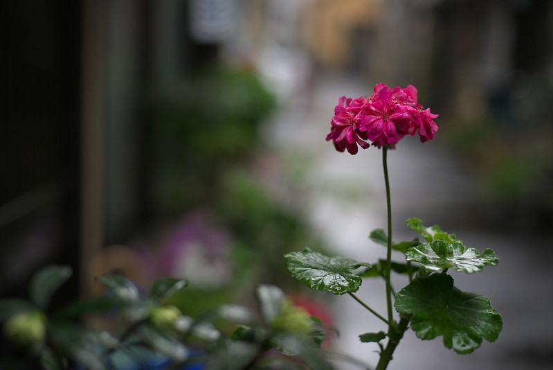 東京路地裏散歩 雨の荒川区荒川 2015年2月26日