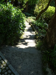 Villa Carlotta - The Botanic Garden - path and steps