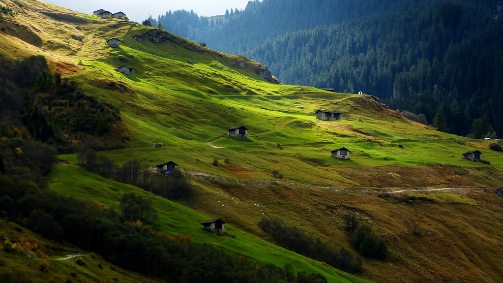 Verde Alpe