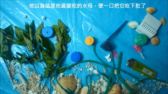 海龜以為塑膠袋是水母，於是把它吃下肚