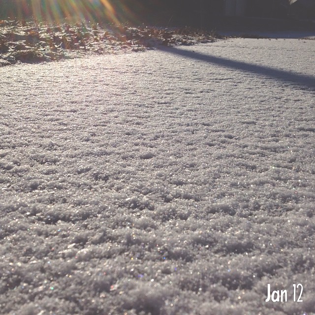 12 | 365 Frost #cy365 #captureyour365 #frost #white #snow #sunlight #sparkle #cold #midwestweather