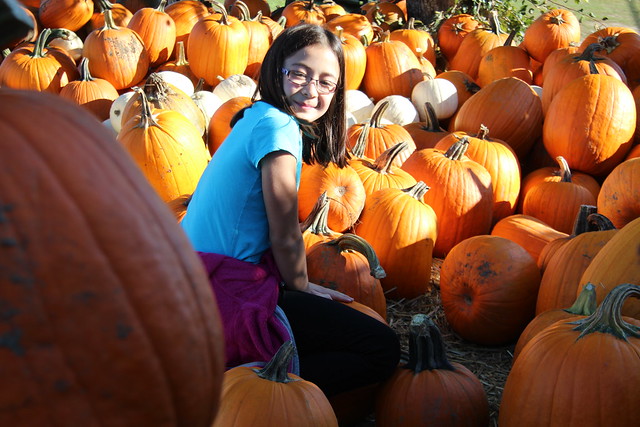Dova picks a pumpkin
