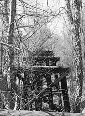 Abandoned Through Truss Railroad Bridge over Neches River, Cuney, Texas 1502131105abw