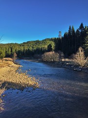 Laird Park Campground // Palouse River