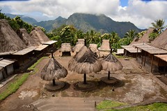 Gurusina indigenous Ngada village (Flores, Indonesia 2016)