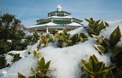 Union Point Park Snow | New Bern