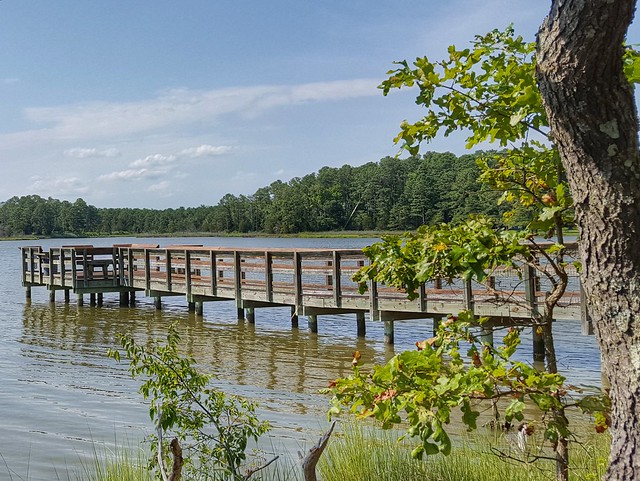 There is so much to explore at Belle Isle State Park in Virginia