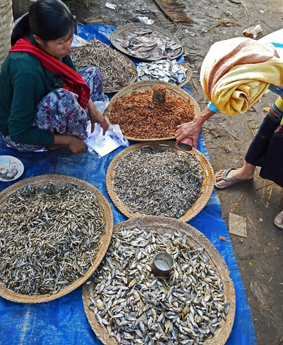 Dried Fish For Sale At the Weekly Market in the Village at the End of Inle Lake (Myanmar)