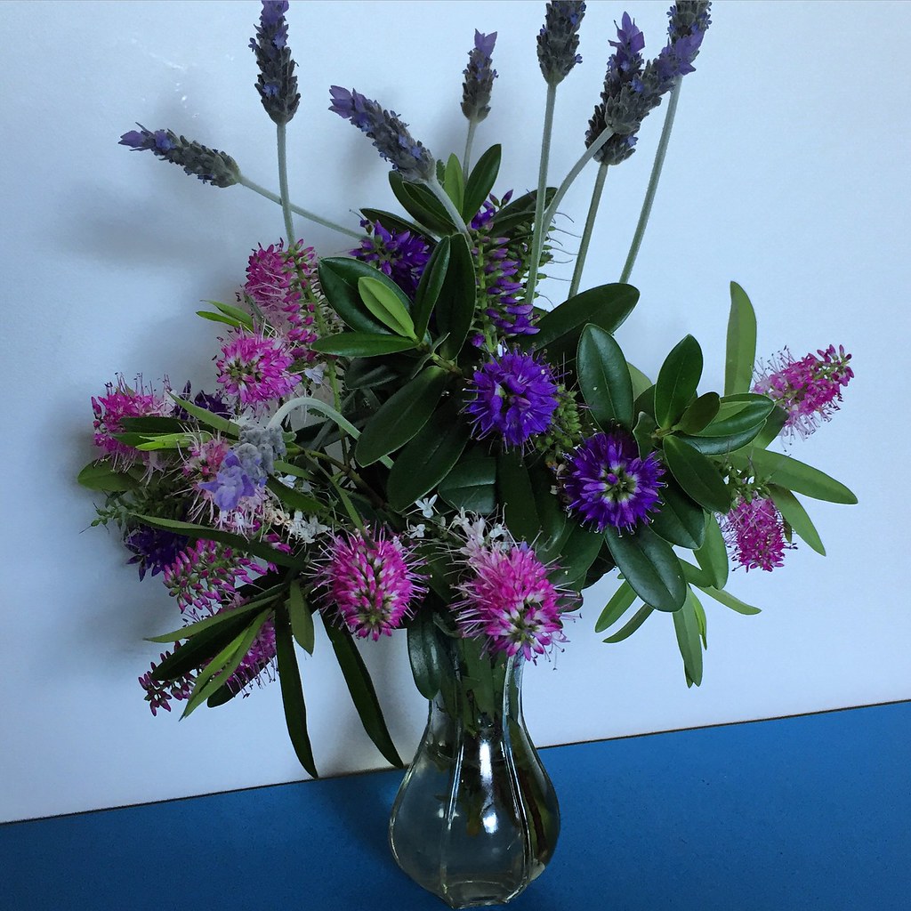 a wee collection of purple blossoms, lavender and hebe, from my friend's garden