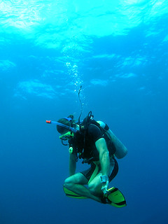 <img src="padi-rescue-diver-tioman-island-malaysia.jpg" alt="PADI Rescue Diver, Tioman Island, Malaysia" /