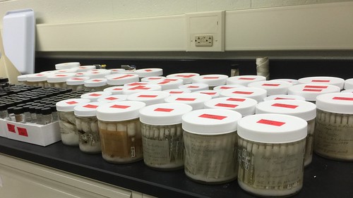 A mixture of screw cap containers and jars containing shell vials with ectoparasite specimens. 