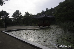 Koreaanse Tuin @ Yeomiji Botanical Garden