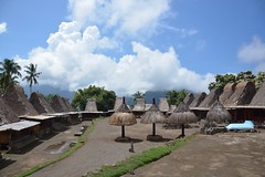 Tololela indigenous Ngada village (Flores, Indonesia 2016)