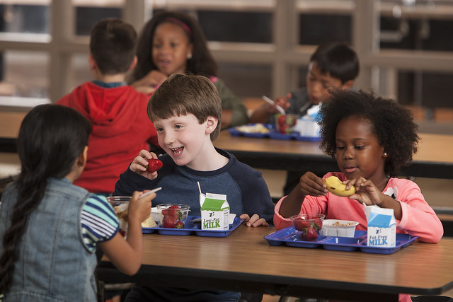 Children eating lunch at school