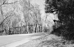 Abandoned Railroad Trestle over Jordan Creek & CR 3313, Cuney, Texas 1502131202abw