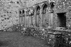 Fore Abbey_14