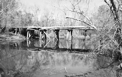 Abandoned Railroad Trestle over Tributary of Neches River, Cuney, Texas 1502131155abw
