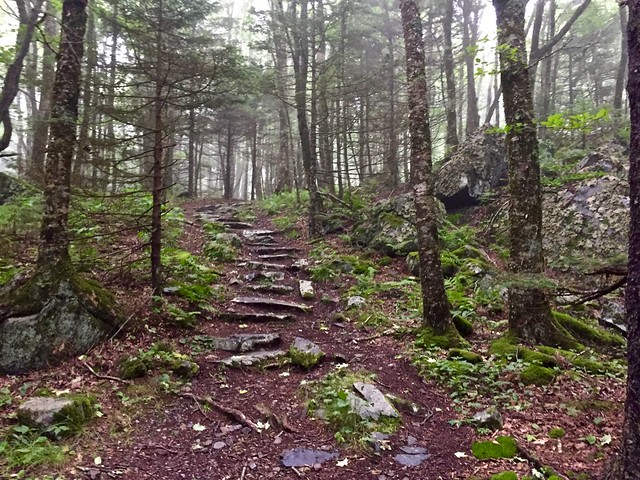 Enchanting scenery along the Twin Pinnacle Trail at Grayson Highlands State P, Virginia