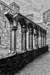 Fore Abbey_03_Cloister- HDR_mono