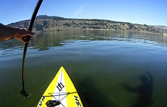 Stand up Paddle in the Columbia River Gorge