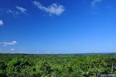 Belize Mayan Jungle (001)