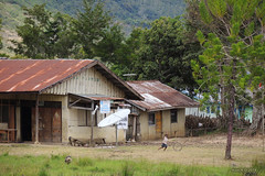 Baliem Valley, West Papua