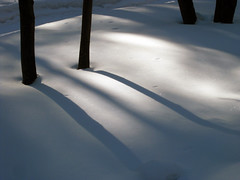 Snow & shadows