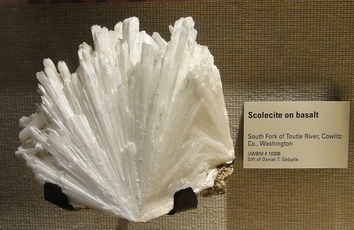 Image shows a white mineral that looks like a palm frond made of thin fibers.