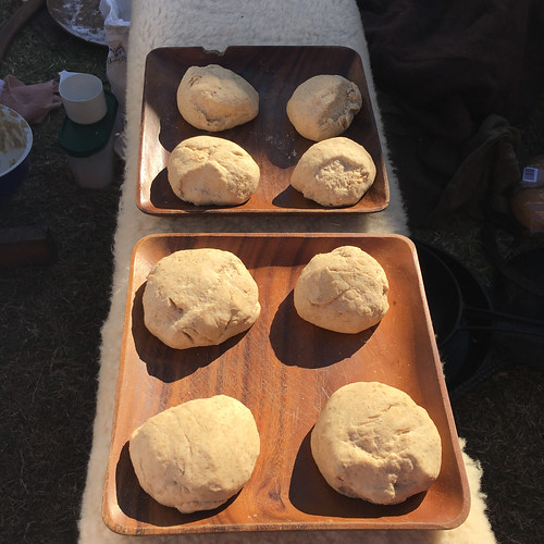 Bread rolls sitting in a sunny spot to rise