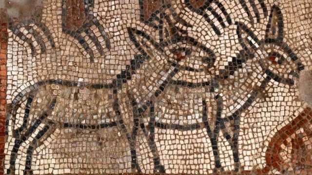 Descubren mosaicos del Arca de Noé y de la partición del Mar Rojo en una  sinagoga galilea
